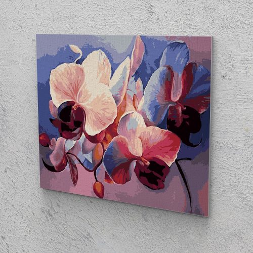 Orchideák festés számok alapján kreatív készlet kerettel 40x50