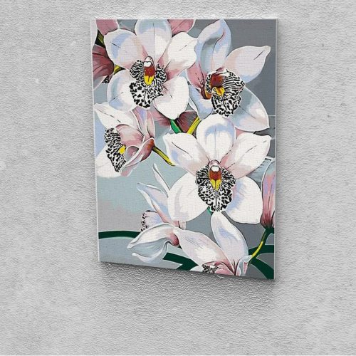 Fehér orchideák festés számok alapján kreatív készlet kerettel 50x60